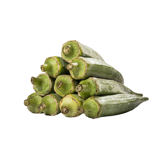 شركة شركة هنوف للتجارة والتصدير