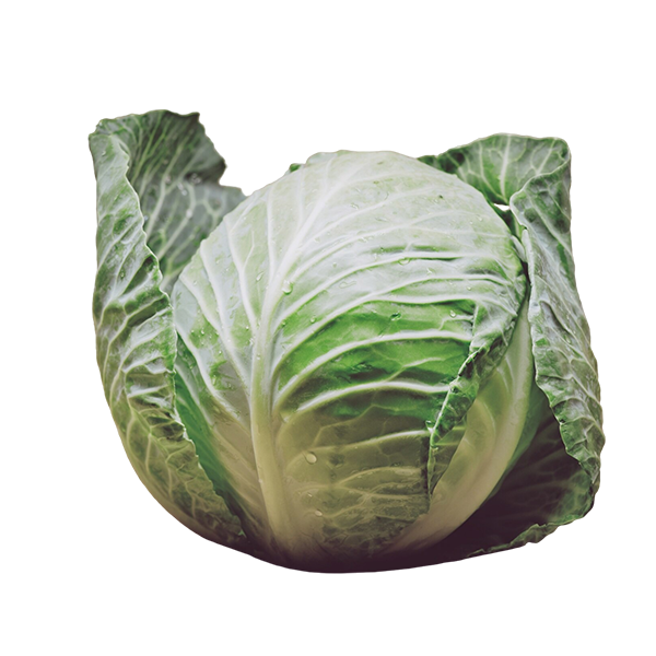 شركة شركة هنوف للتجارة والتصدير