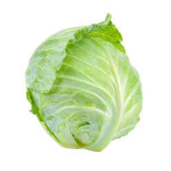 شركة شركة هنوف للتجارة والتصدير